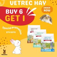 (ซื้อ6แถม1) VETREC HAY 500g