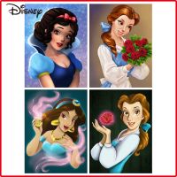 ✌﹍⊙ Disney Snow White Cross Stitch Aladdin New 2023 Woman Embroidery Supplies Princess Portrait Printed Canvas 14ct Cartoon Wall Art