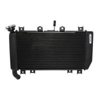 Motorbike For Kawasaki Ninja 400 EX400 Z400 ABS 2018 2019 2020 2021 2022 Radiator Cooler Cooling Water Tank