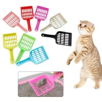 19x9x2cm Poop Shovel Reptile Litter Shovel With Ergonomic Handle Scoop Sand Cat Litter Scoop Convenient Plastic