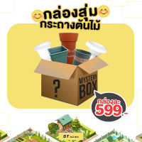 Mystery boxกล่องสุ่มกระถางต้นไม้หลากหลายแบบ ขนาด50*50*50