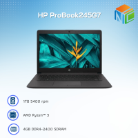 HP ProBook245G7(1M9A8PA#AKL)