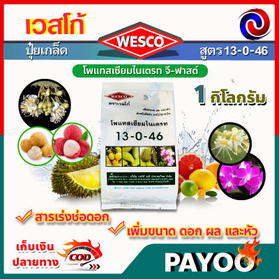 บรรจุ 1 กิโลกรัม WESCO ปุ๋ย 13-0-46 โพแทสเซียมไนเตรท จี-ฟาสต์ ปุ๋ยเกล็ด เวสโก้ สารเร่งช่อดอก เพิ่มขนาด ดอก ผล และหัว