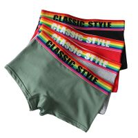 HaleyChan Womens Underwear Cotton Mid Waist Graphene Antibacterial Crotch Boxer for Womens Tomboy Trans Lesbian Rainbow Panties