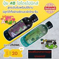 ปุ๋ย AB ชนิดน้ำ 250 มิลลิลิตร By Hydroponicgroup  ร้าน AB ไฮโดรโปนิกส์1