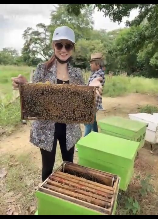 น้ำผึ้งป่าเดือนห้า-ขวดพลาสติกคอรังผึ้ง-ขนาด-1000-กรัม-1-ขวด