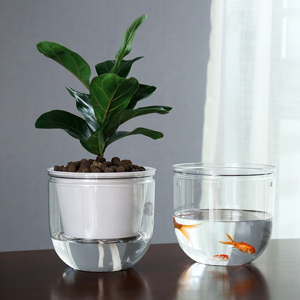 Transparent Self-Watering Plant Flower Plastic Pot Planter Home Garden Decor 