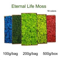 【cw】0g High Quality Simulation Plants Eternal Life Moss Immortal Moss Green Plants Fake Flower DIY Decor Landscape Wall ！