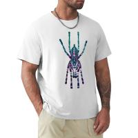 Poecilotheria Regalis T-Shirt Shirts Graphic Tees Korean Fashion Mens T-Shirts Anime