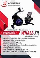 จักรยานเอนปั่น V-TechFitness Whale-XR