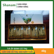 Bánh trà sống, chín 2020, Trà shan tuyết Shanam cổ thụ