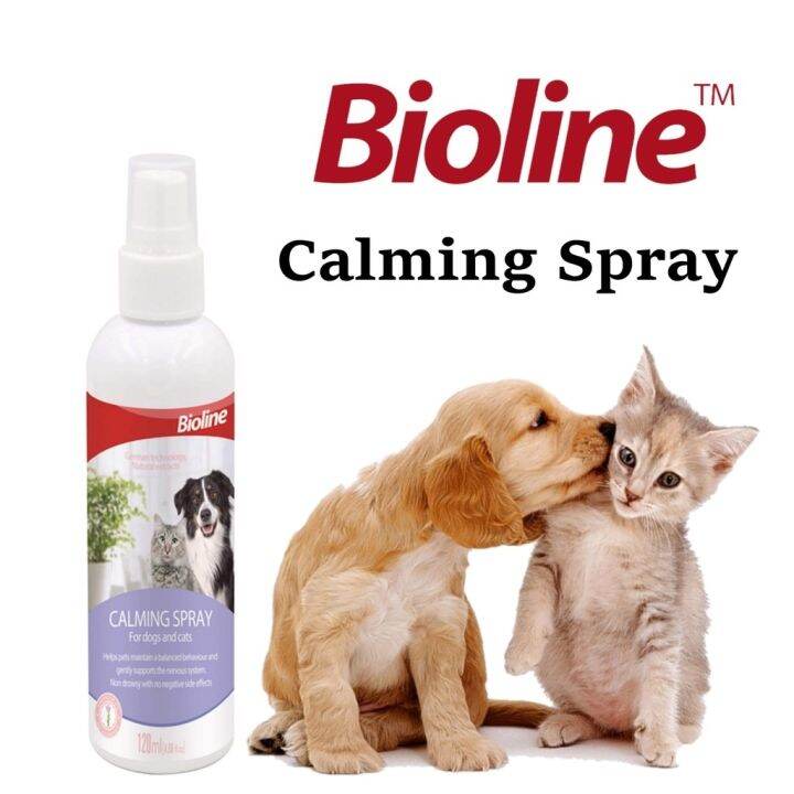 Bioline Pet Calming Spray for Dogs and Cats 120ml Lazada PH