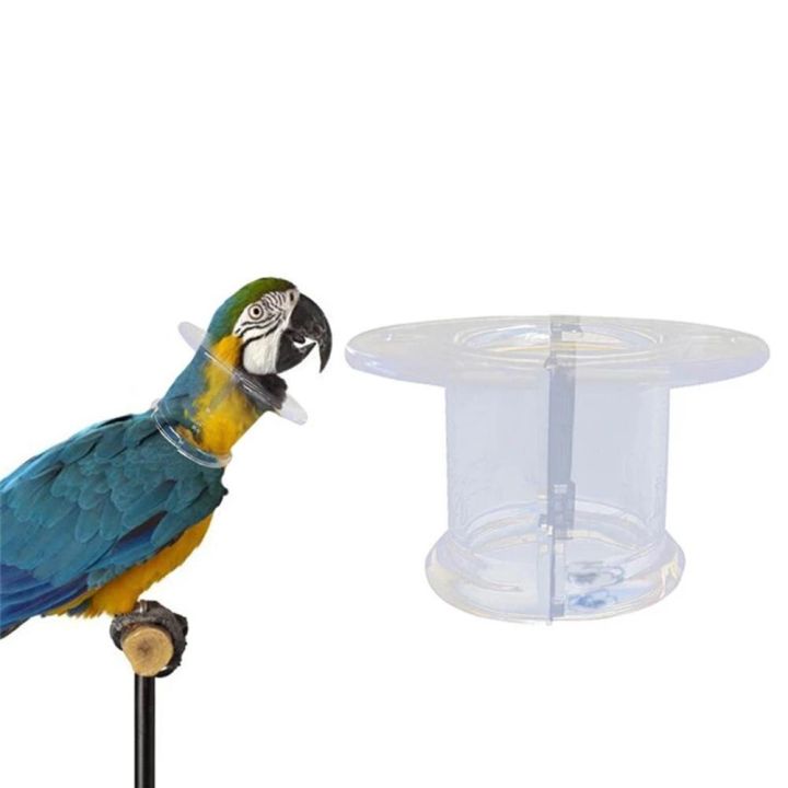 ปลอกคอกันนกสำหรับนกแก้วมีขนกันขนนกสินค้าเกี่ยวกับสัตว์เลี้ยงประเภทปลอกคอสำหรับหนูและนก