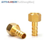 Brass Hose Pipe Fittings Couping 4 6 8 10 19 Barbs 1/8 1/4 1/2 3/8 BSP Female Thread Copper Connectors Joint Coupler Adapter