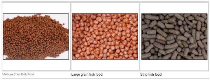 grech-cff-206-เครื่องให้อาหารปลา-มีแผงโซล่าเซลล์-ขนาด-6-ลิตร-เครื่องให้อาหารอัตโนมัติ-solar-automatic-feeder