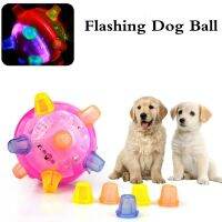 【YF】﹊  Glowing Dog Flash New Music Colored Activation Supplies