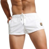 Sports Pocket Casual Shorts Mens Mini Boxer Shorts Mesh Breathable Summer Gym Workout Sweatpants Beach Shorts Homewear Plus Size