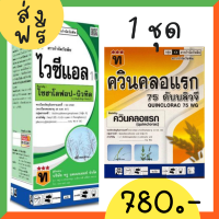 ไวซีแอล ควินคลอแรก 75% ส่งฟรี