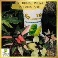 ดินพร้อมปลูกสเน่ห์จันทร์ บุษราคัม ซอยล์ Homalomena Soil Thaigardenstore