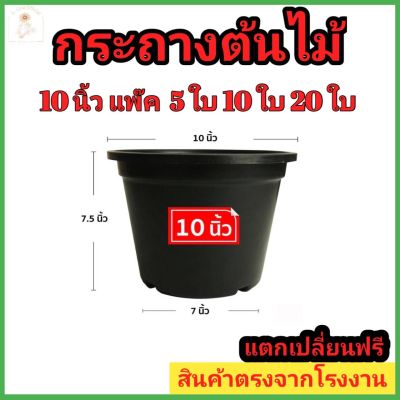 กระถางต้นไม้พลาสติก 10 นิ้ว กระถางต้นไม้ สีดำ