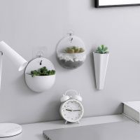 [Like Activities]2022แฟชั่นแขวนผนัง GlassVase Terrarium Wall FishAquarium ContainerPlanter Stings Decor