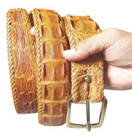 Crocodile Belt for Men เข็มขัดผู้ชาย หนังจระเข้แท้ สีแทน หัวเข็ม ขนาด 1.5 X 49 นิ้ว