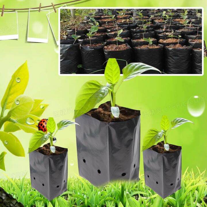 100pcs-black-plastic-seedling-bags-growing-bowl-with-breathable-holes-for-garden-plant-nursery-germination-nutrition-planter-pot