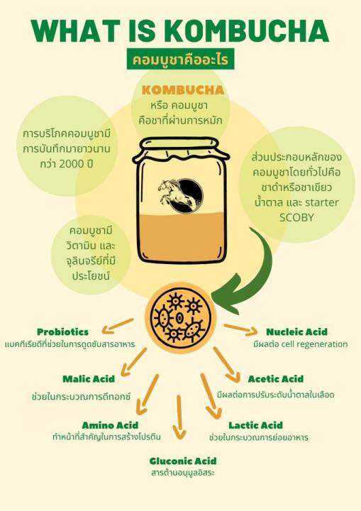 madi-kombucha-ชาหมักเพื่อสุขภาพ-winter-tea-vinegar-500ml