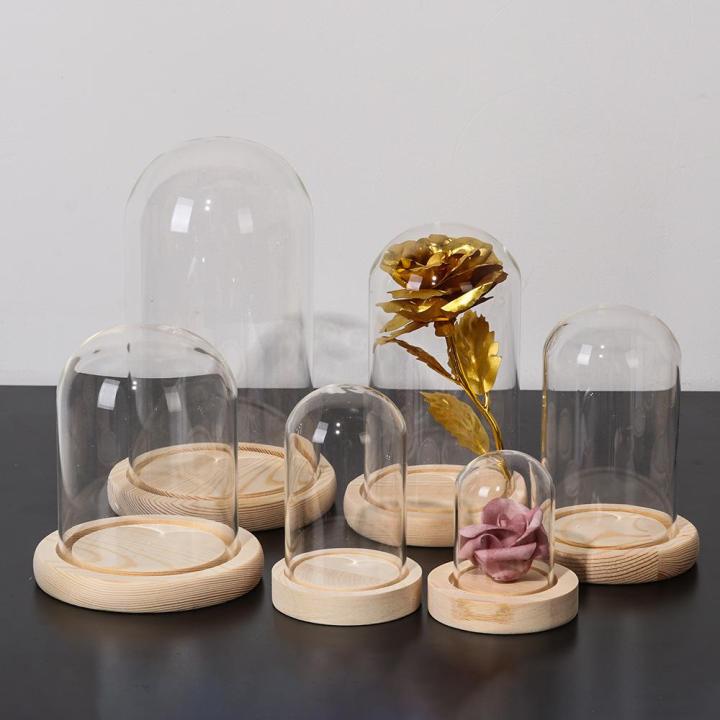 9qss-โต๊ะ-terrarium-การตกแต่งบ้าน-แจกันแก้ว-ไห-ขวดใส-กล่องเก็บดอกไม้-ผ้าคลุมแก้ว-ผ้าคลุมกันฝุ่น-ฐานไม้