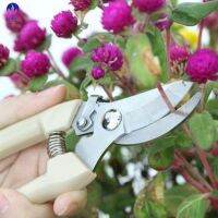 ready stock Stainless Steel Grafting Tool Gardening Pruning Shear nch Tool Shear