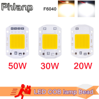 LED ซังโคมไฟลูกปัด20วัตต์30วัตต์50วัตต์ AC 220โวลต์240โวลต์ IP65สมาร์ท IC ไม่จำเป็นต้องไดร์เวอร์ DIY น้ำท่วมไฟ Led หลอดไฟสปอตไลกลางแจ้งชิปโคมไฟ