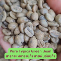 สารกาแฟอาราบิก้า สายพันธุ์ทิปปิก้า (Typica Coffee Green Bean Arabica) ปลูกบนดอยสูง 1500 ม. หอมชัดแตกต่าง เมล็ดใหม่ปี 66 วอชโพรเซส คัดมือสะอาด เม็ดใหญ่ A