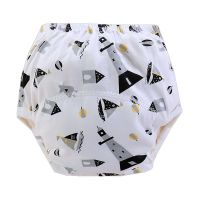 【CC】 Baby Diapers Reusable Nappies Newborn Cotton Diaper Cover for Children Training Pants Potty