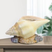 Home Modern Resin Decor Volutidae Conch Shell Desktop Groceries Jewelry Lighter Storage Succulent Potted Flower Pot Wedding Gift