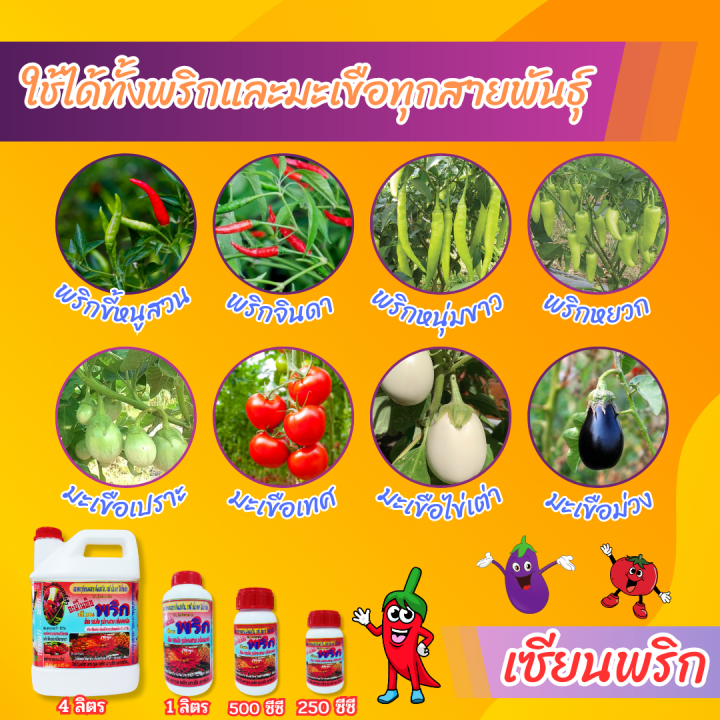 พร้อมส่ง-เซียนพริก-4-ลิตร-สูตรพริกดก-ซื้อ-1แถม2-อาหารพืช-ปุ๋ย-ปุ๋ยฉีดพริก-ปุ๋ยฉีดมะเขือ-ยาฉีดพริก-ฮอร์โมนพริก