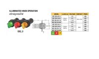 สวิทช์ลูกศรมีไฟ 2NO 12V สีเขียว ( 3 จังหวะ / บิดค้าง ) # SB7-CK3G65-12