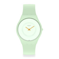 นาฬิกา Swatch Skin CARICIA VERDE SS09G101