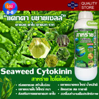 สาหร่ายสกัดเข้มข้น ไซโตไคนิน ส่งเสริมการแตกยอด แตกใบ แตกราก/Seaweed Cytokinin For Plant ขนาด 1 ลิตร