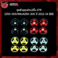 ชุดตัวอุดเฟรม 2 ชิ้น GTR Z250-300/NINJA250-300 ปี 2012-14 (BB)