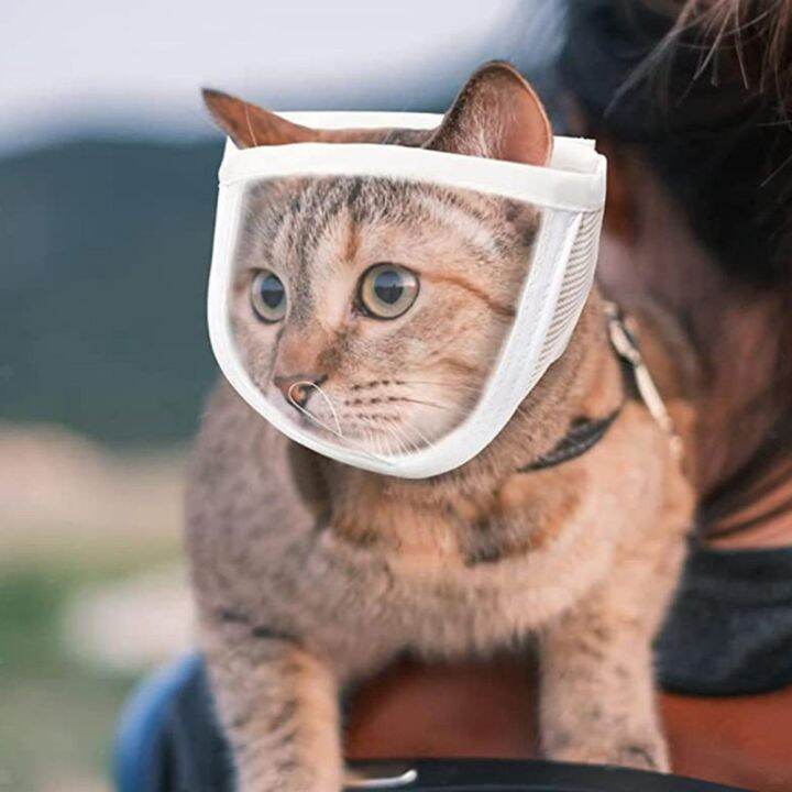 Cat muzzle for outlet bathing