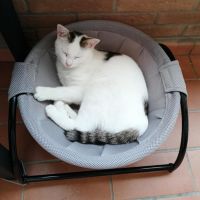 Pet Cat Hanging Bed House Round Soft Cat Hammock Luxury Cozy Rocking Chair Detachable Metal Iron Frame Cat Bed Beds