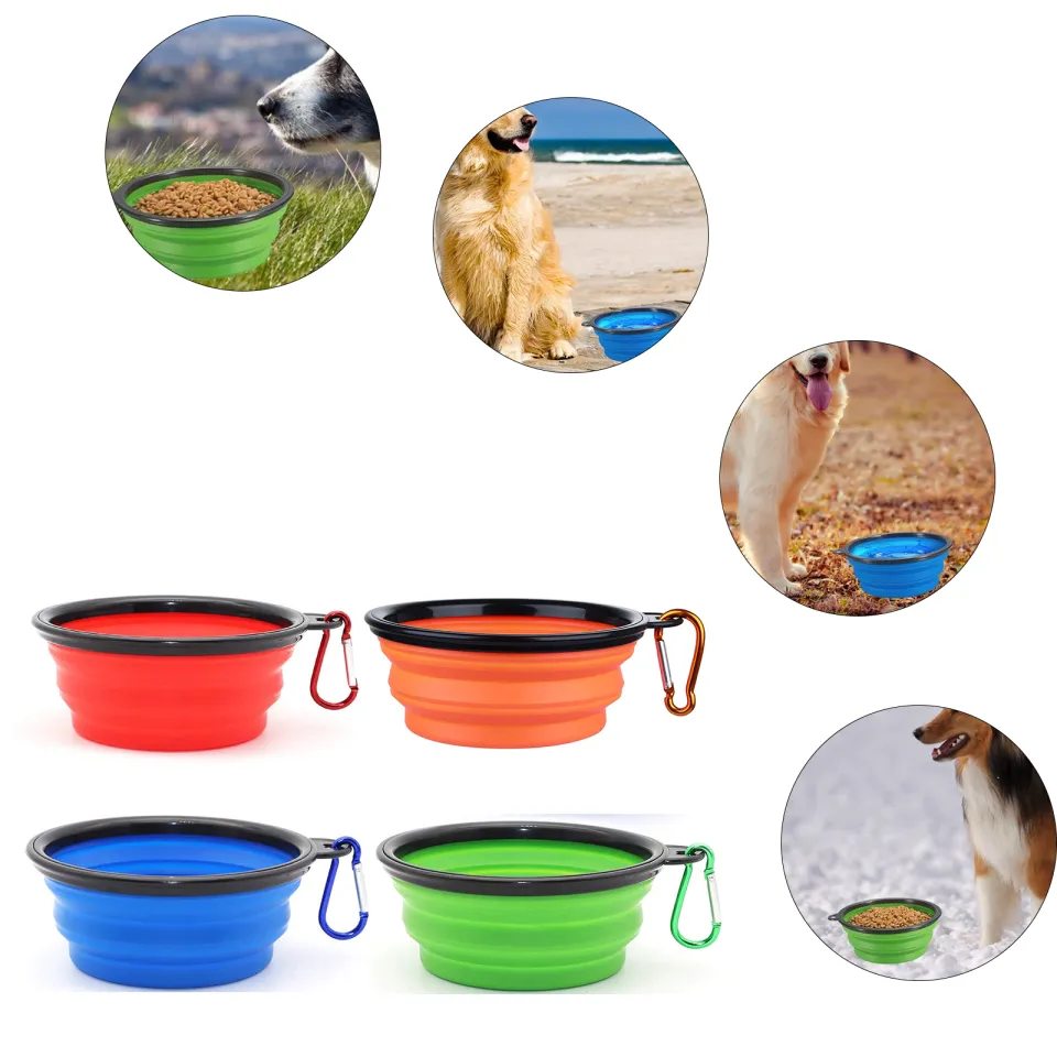 Folding dog clearance bowl