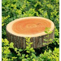 Stump Shaped หมอนตกแต่งรถบ้านตกแต่งน่ารัก Round Woods Grain Soft Plush เก้าอี้เบาะรองนั่งหมอน