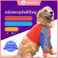 [DODO] เสื้อผ้าสุนัข ขนาดใหญ่ ป้องกันข้อศอก ป้องกันการสึกหรอ สีทอง แฟชั่นฤดูร้อน สําหรับสุนัข