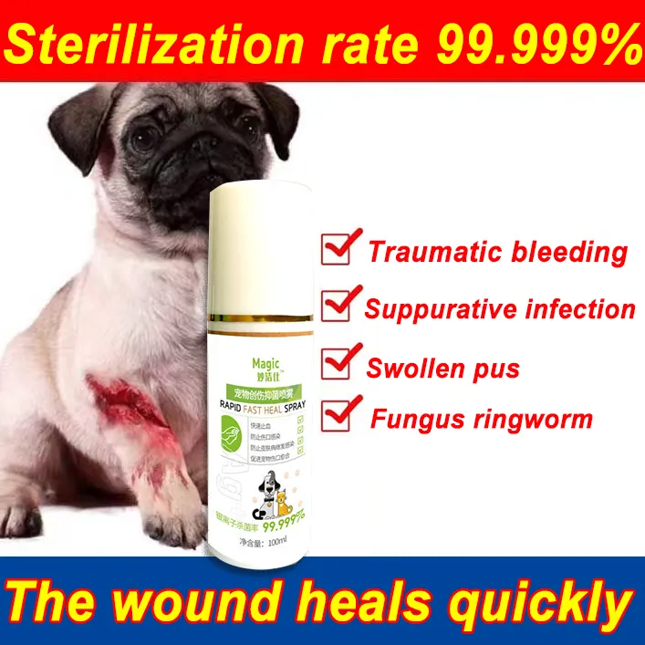 does ringworm bleed on dogs