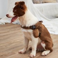 pet chest harness  dog harness  pet vest  Adjustable pet safety belt  free without traction Collars