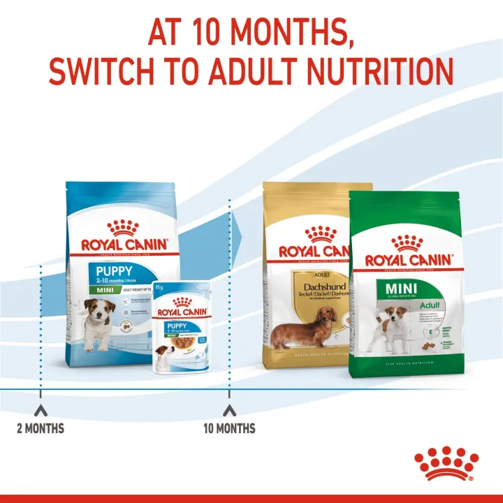 หมดอายุ-4-24-royal-canin-mini-puppy-2-kg-อาหารสำหรับลูกสุนัขพันธุ์เล็ก-อายุไม่เกิน-10-เดือน-โตไม่เกิน-10-กก