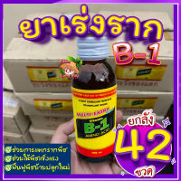 ยกลัง 42 ขวด ? ยาเร่งรากB-1 Multi extra start น้ำยาเร่งราก บีวัน 100cc?