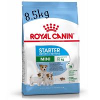 พลาดไม่ได้ โปรโมชั่นส่งฟรี Royal Canin Starter Mini 8.5 KG