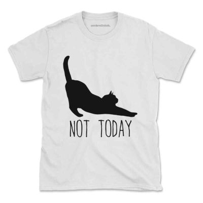 เสื้อยืด พิมพ์ลาย Not Today Cat น่ารัก แฟชั่นฤดูร้อน สําหรับผู้ชาย  ROES